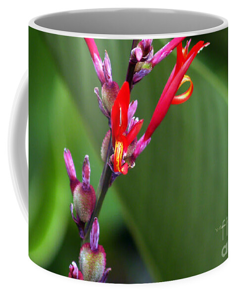 Fine Art Photography Coffee Mug featuring the photograph Tongues of Flame by Patricia Griffin Brett