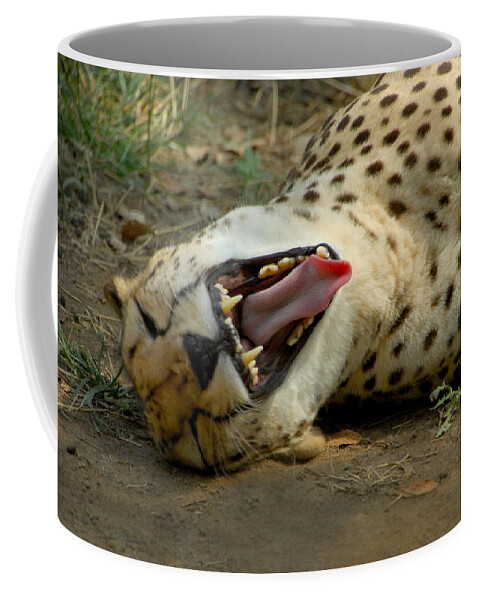 Cat Coffee Mug featuring the photograph Too Funny by Donna Blackhall