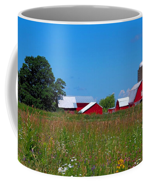 Field Coffee Mug featuring the photograph Touch of Color by Dave Files