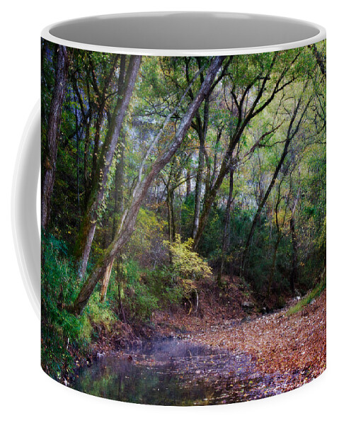 Arkansas Coffee Mug featuring the photograph Touch of Fall by Lana Trussell