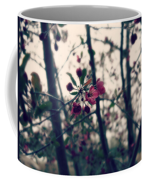 Crab Apple Blossoms Coffee Mug featuring the photograph Tranquil by Jessica Myscofski