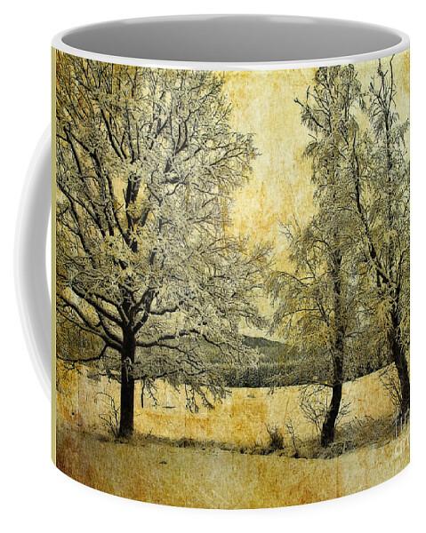 Digital Art Coffee Mug featuring the photograph Tranquility of the Cold by Edmund Nagele FRPS