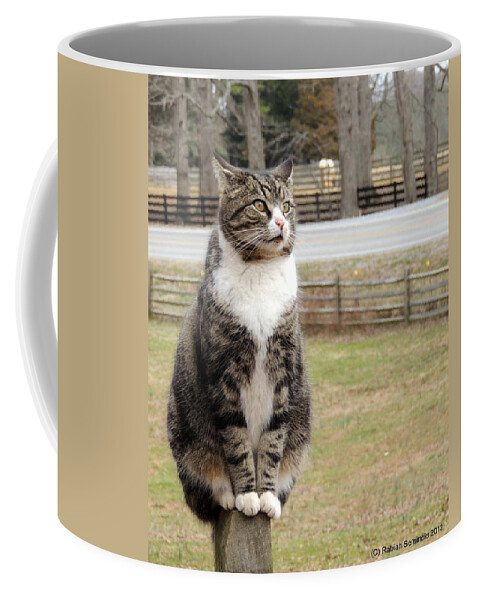 Cat Coffee Mug featuring the photograph Traveler Posted by Rabiah Seminole