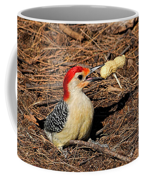 Red-bellied Woodpecker Coffee Mug featuring the photograph Treat Time by HH Photography of Florida