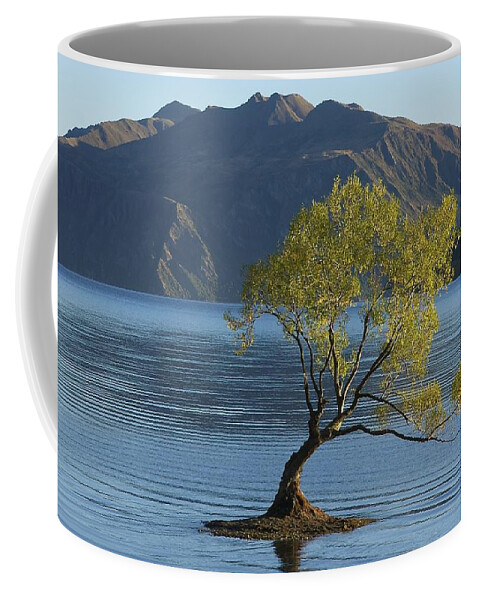 New Zealand Coffee Mug featuring the photograph Tree in Lake Wanaka by Stuart Litoff