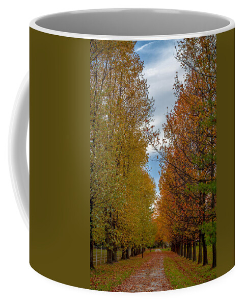 Path Coffee Mug featuring the photograph Tree Lines Path in Fall by Ron Pate