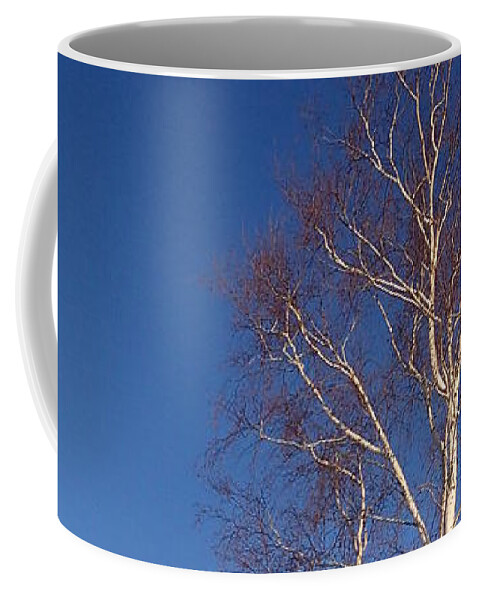 Tree Coffee Mug featuring the photograph Tree by Robert Nickologianis