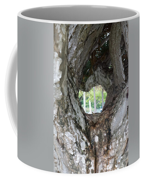 Tree Coffee Mug featuring the photograph Tree View by Rafael Salazar