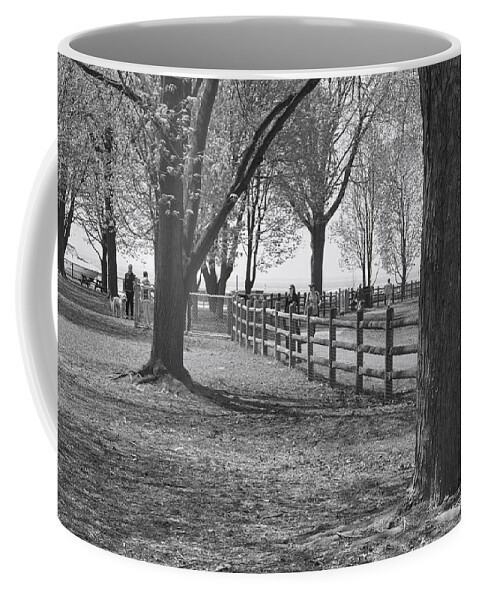Parkland Coffee Mug featuring the photograph Trees in an Urban Park by Nicky Jameson