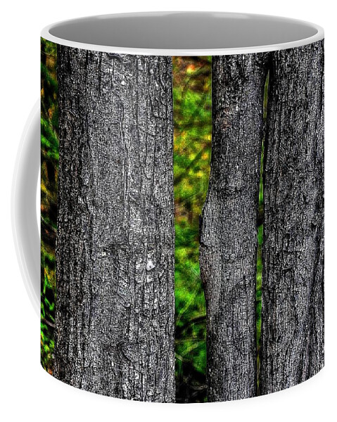 Trees Coffee Mug featuring the photograph Trees by Phyllis Meinke