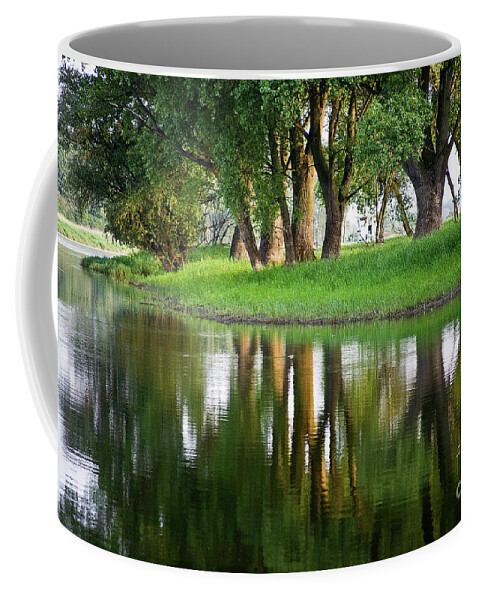 Water Coffee Mug featuring the photograph Trees Reflection on the Lake by Heiko Koehrer-Wagner