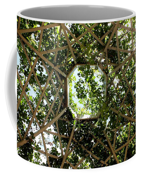 Hamilton Gardens Coffee Mug featuring the photograph Trellis Roof by Guy Pettingell