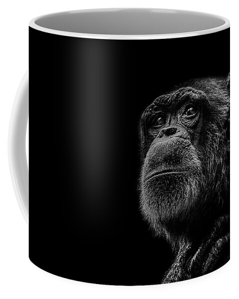 Chimpanzee Ape Portrait Low Key Wildlife Nature Coffee Mug featuring the photograph Trepidation by Paul Neville