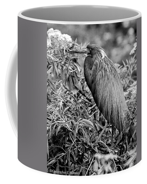 Heron Coffee Mug featuring the photograph Tri-Color - BW by Christopher Holmes
