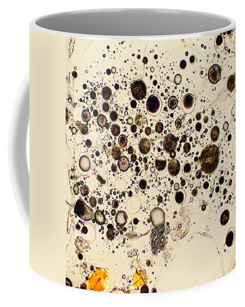  Minerals Coffee Mug featuring the photograph Trinity Sands by Hodges Jeffery