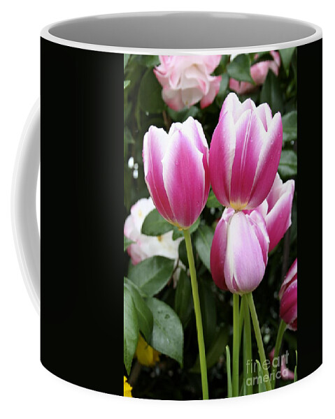 Trio Coffee Mug featuring the photograph Trio of tulips by Jim Gillen