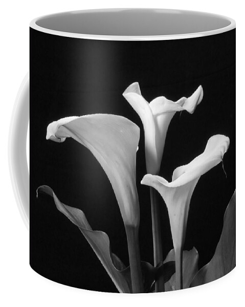 Calla Lilies Coffee Mug featuring the photograph Trio of white Calla Lilies in Black and White by Harold Rau
