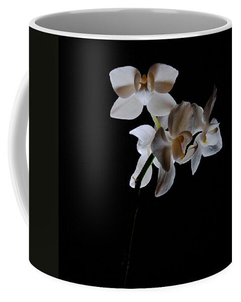 Moth Orchids Coffee Mug featuring the photograph Triplets II Color by Ron White