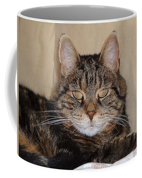Cats Coffee Mug featuring the photograph Tripod by Guy Whiteley