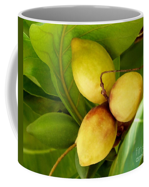 Color Coffee Mug featuring the photograph Tropical Almond by Amar Sheow