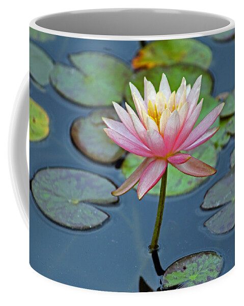 Flower Coffee Mug featuring the photograph Tropical Pink Lily by Cynthia Guinn