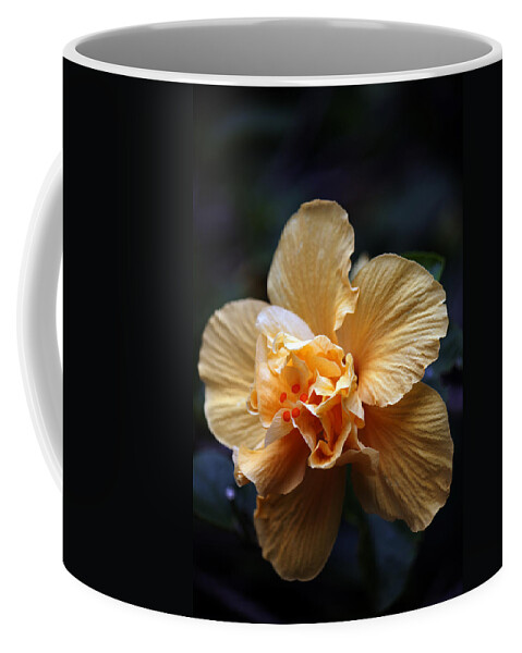 Waimea Arboretum & Botanical Garden Coffee Mug featuring the photograph Tropical Sun by Edward Hawkins II