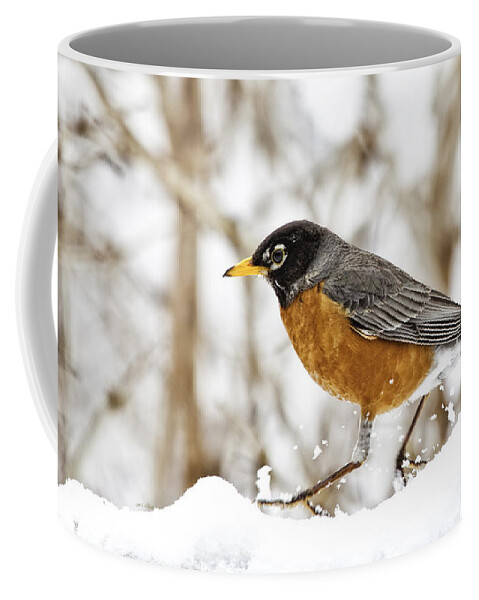 Robin Coffee Mug featuring the photograph Trucking by Jan Killian