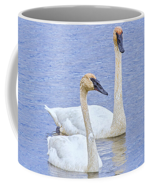 Swan Coffee Mug featuring the photograph Trumpeter Swans by Peg Runyan