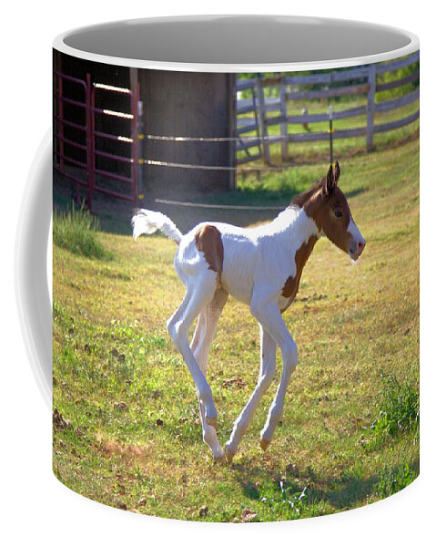 5289 Coffee Mug featuring the photograph Trying out the new legs by Gordon Elwell
