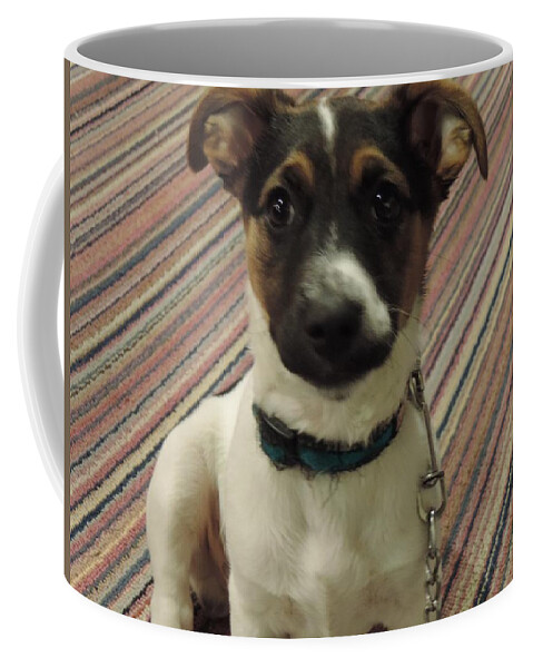 Jack Russell Coffee Mug featuring the photograph Tuc by Terry Lewey