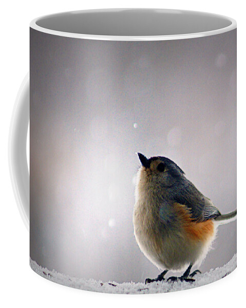 tufted Titmouse Coffee Mug featuring the photograph Tufted Titmouse by Cricket Hackmann