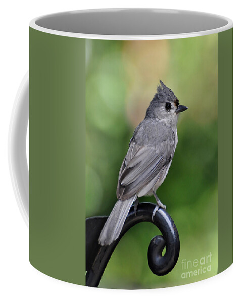 Birds Coffee Mug featuring the photograph Tufted Titmouse by Kathy Baccari
