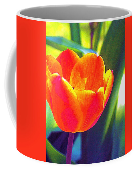 Tulip Coffee Mug featuring the photograph Tulip 2 by Pamela Cooper