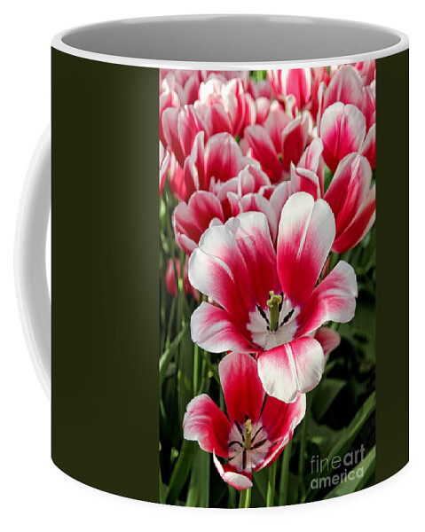 Tulip Coffee Mug featuring the photograph Tulip Annemarie by Jasna Buncic