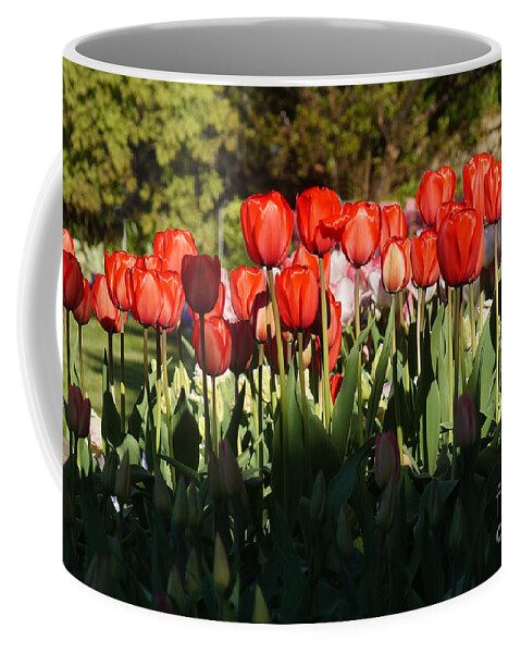 Nature Coffee Mug featuring the photograph Tulip Field 2 by Rudi Prott