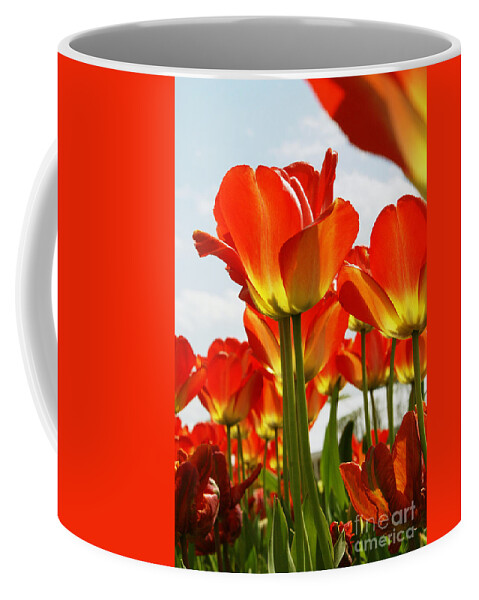 Nature Coffee Mug featuring the photograph Tulip Field 1 by Rudi Prott