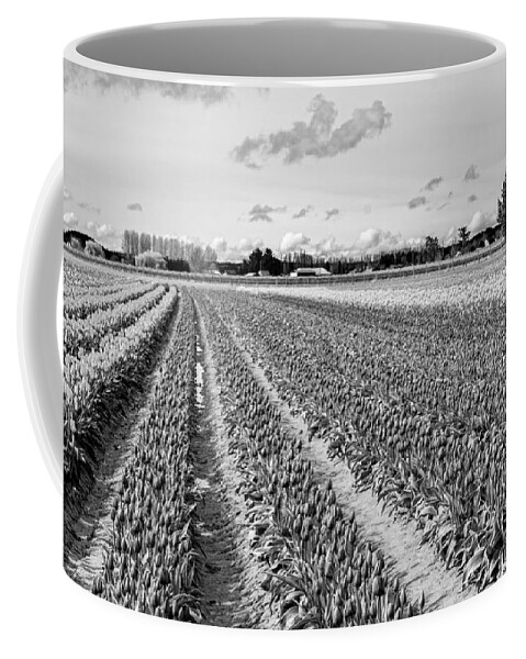 Tulip Field Coffee Mug featuring the photograph Tulip Fields In Spring 3 by Priya Ghose