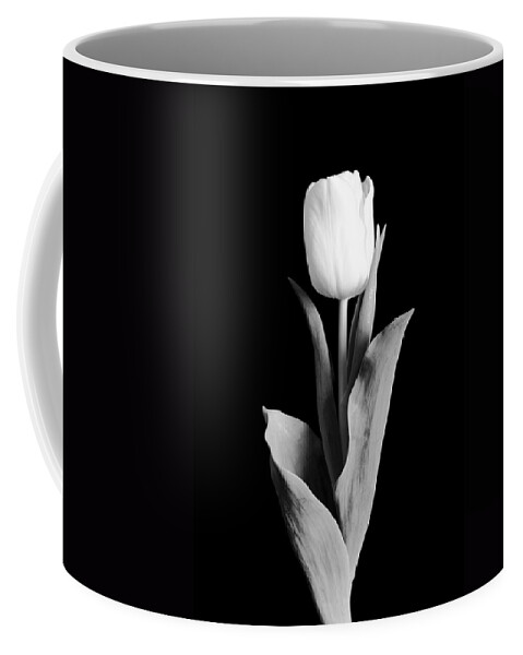 Tulip Coffee Mug featuring the photograph Tulip by Sebastian Musial