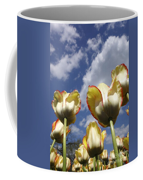 Budding Coffee Mug featuring the photograph Tulips and Clouds by Jacqueline Athmann