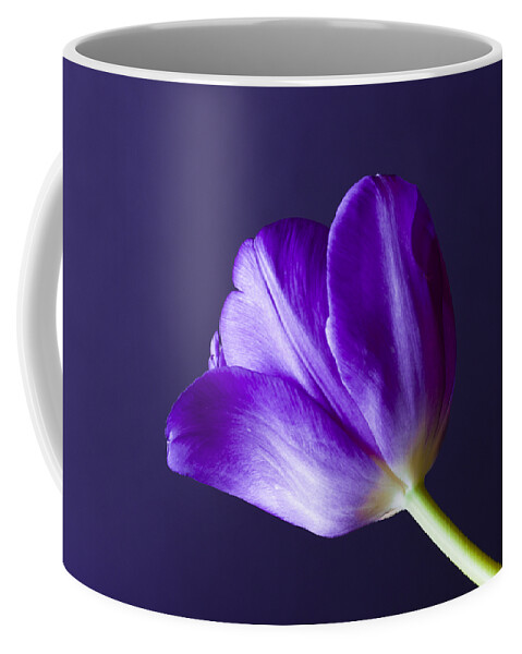 Blossom Coffee Mug featuring the photograph Tulips Bloom As They Are Told by Christi Kraft