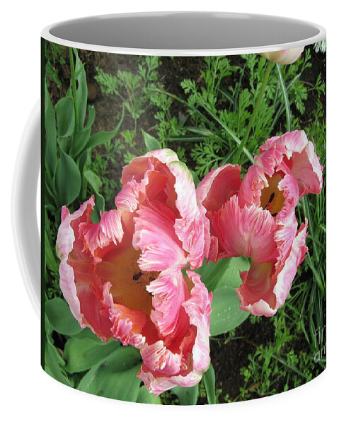  Coffee Mug featuring the photograph Tulips by Mars Besso