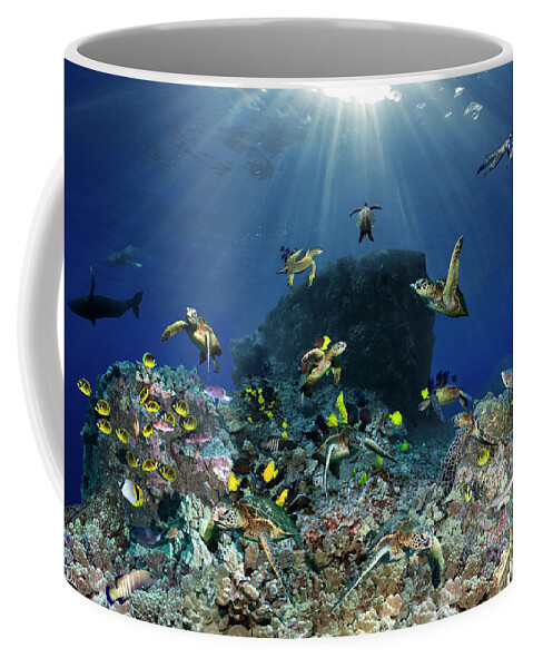 Marine Coffee Mug featuring the photograph Turtle pinnacle by Artesub