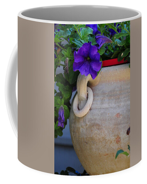 Purple Flower Tuscan Pot Coffee Mug featuring the photograph Tuscan Pot by Susie Rieple