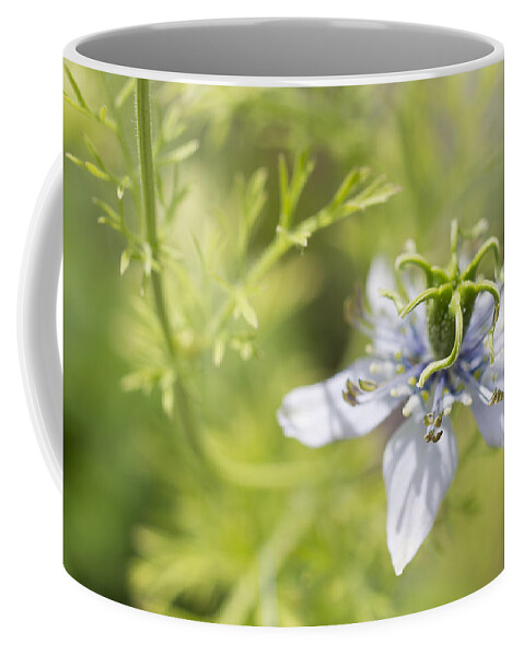 Floral Coffee Mug featuring the photograph Twist by Priya Ghose