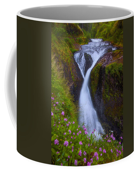 Waterfalls Coffee Mug featuring the photograph Twister Falls by Darren White