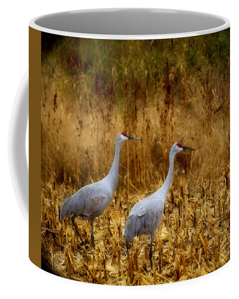 Sandhill Cranes Coffee Mug featuring the photograph Two Autumn Sandhills by Thomas Young