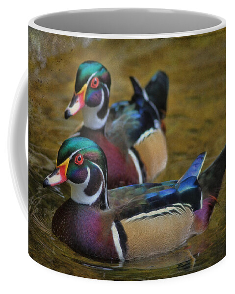 Wood Duck Coffee Mug featuring the photograph Two Beauties by Deborah Benoit