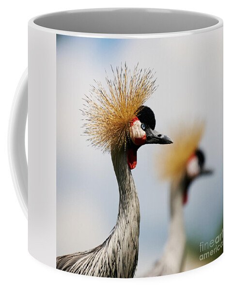 Black Coffee Mug featuring the photograph Two Black Crowned Cranes by Nick Biemans