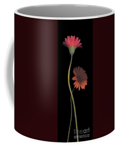Daisy Coffee Mug featuring the photograph Two Daisies Tall RIGHT by Heather Kirk