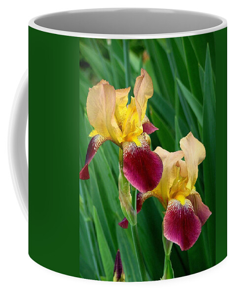 Fine Art Coffee Mug featuring the photograph Two Iris by Rodney Lee Williams